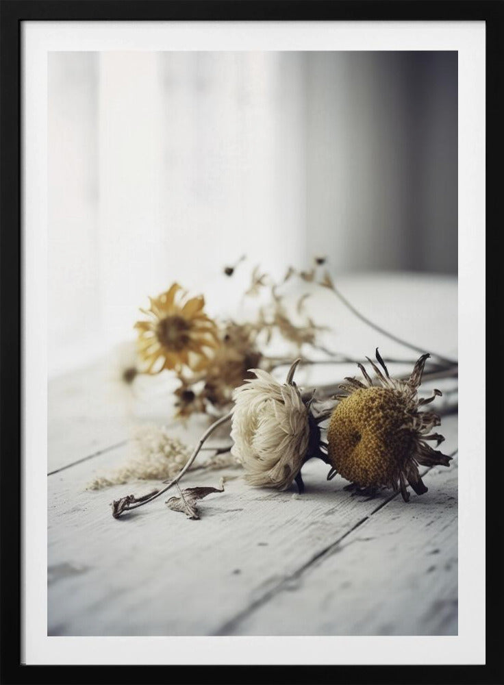 Faded Petals | Poster