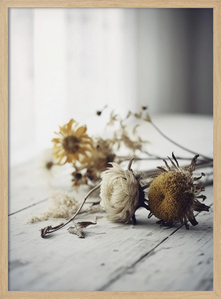Faded Petals | Poster