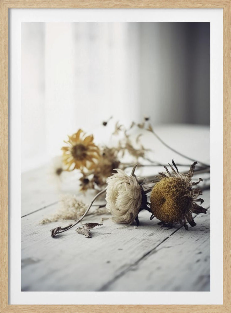 Faded Petals | Poster