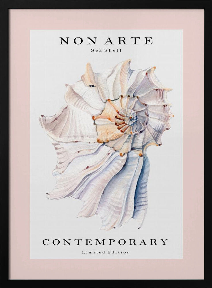 Non Arte Sea Shell no.1 | Poster