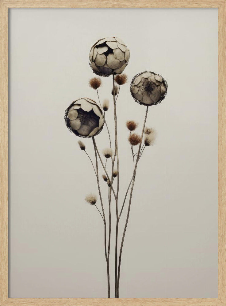 Ethereal Blooms | Poster