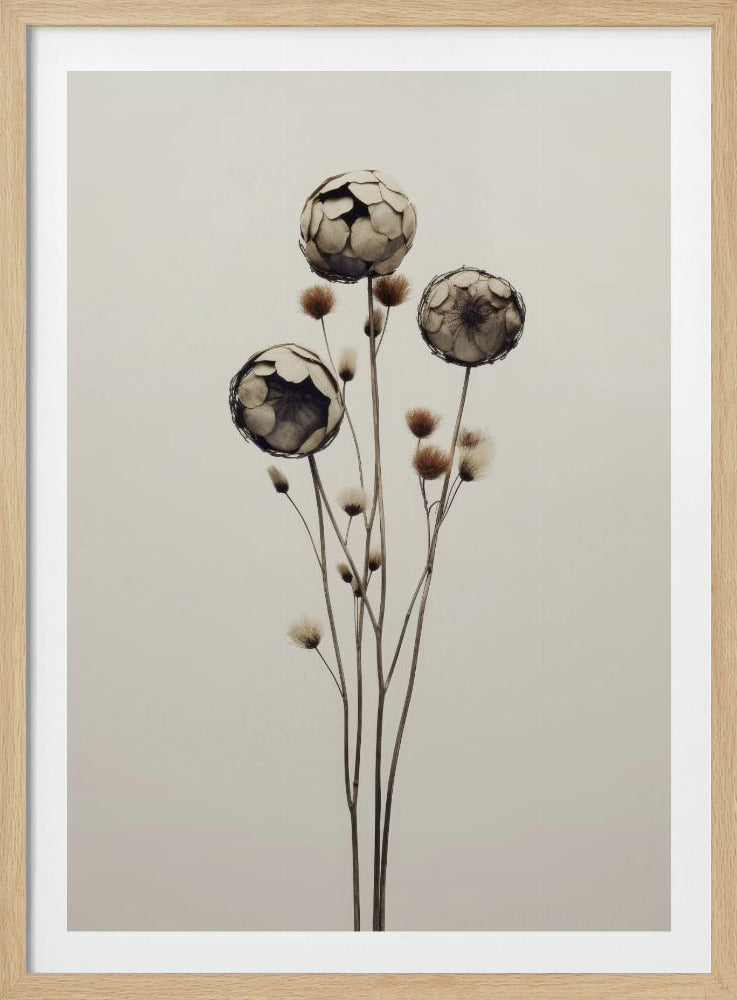 Ethereal Blooms | Poster