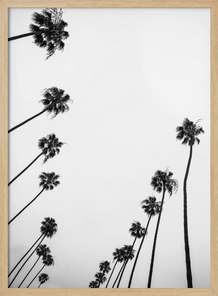 Whispers in the Sky | Poster