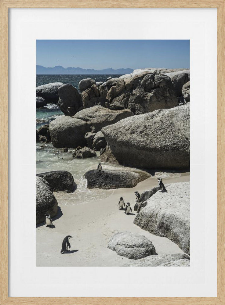 Penguins&#039; Coastal Stroll | Poster