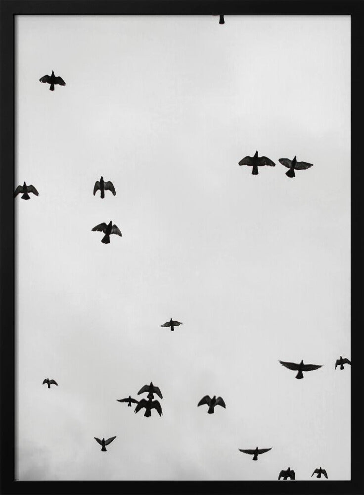 Soaring Shadows | Poster