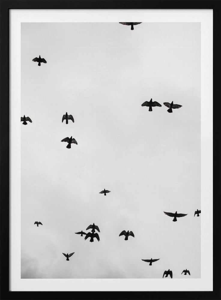 Soaring Shadows | Poster