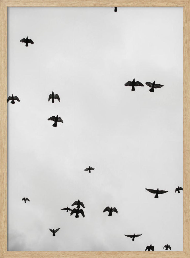Soaring Shadows | Poster