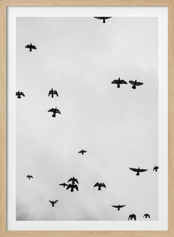 Soaring Shadows | Poster