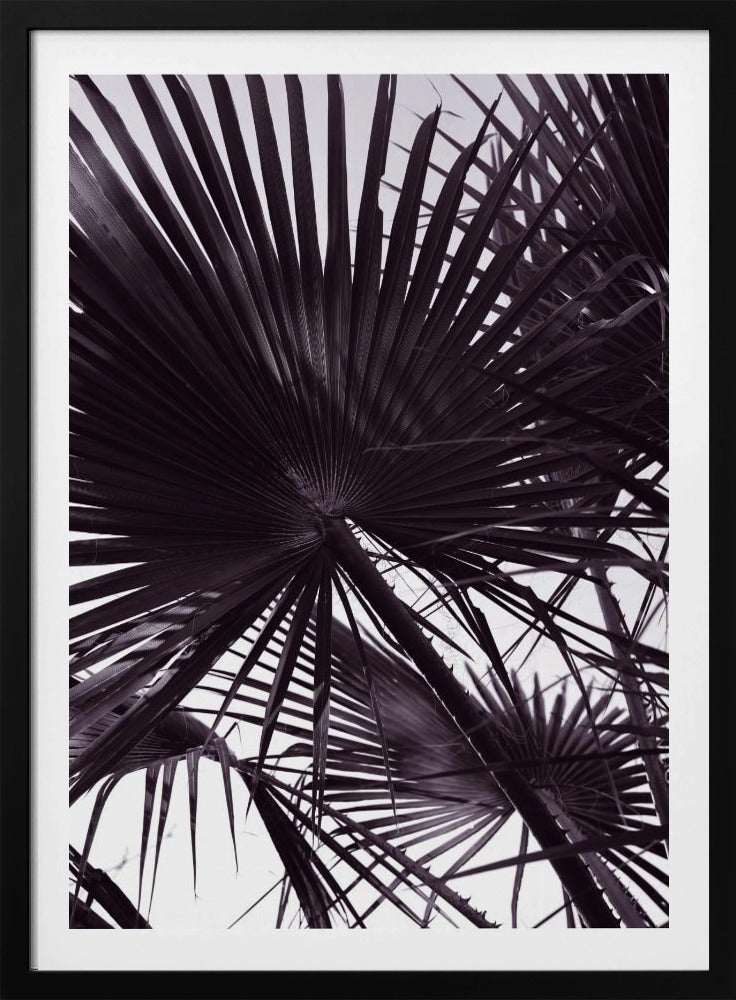 Palm Silhouette | Poster