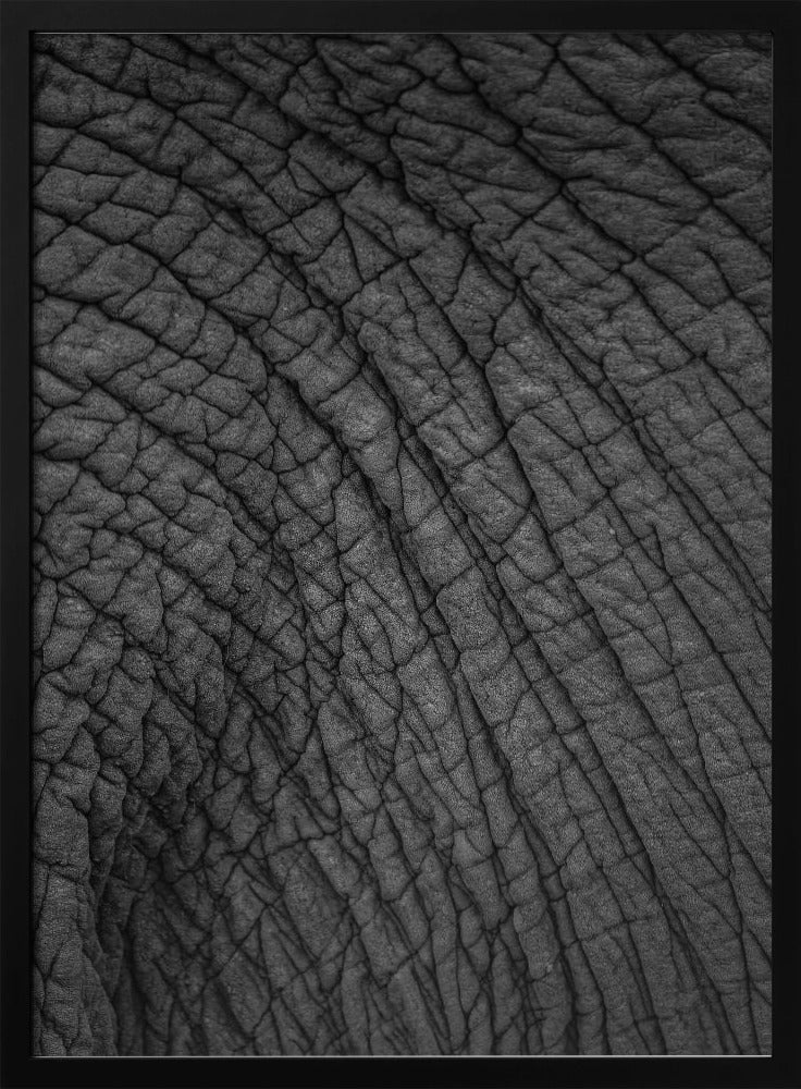 Elephant&#039;s Tapestry | Poster