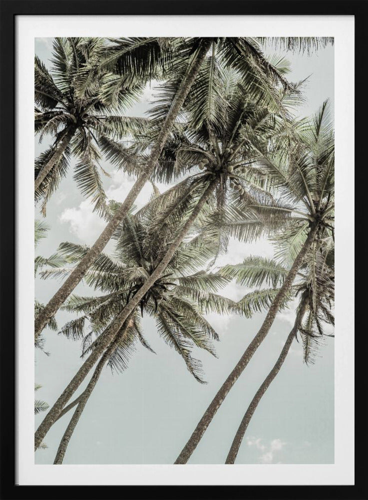 Wild Love | Poster