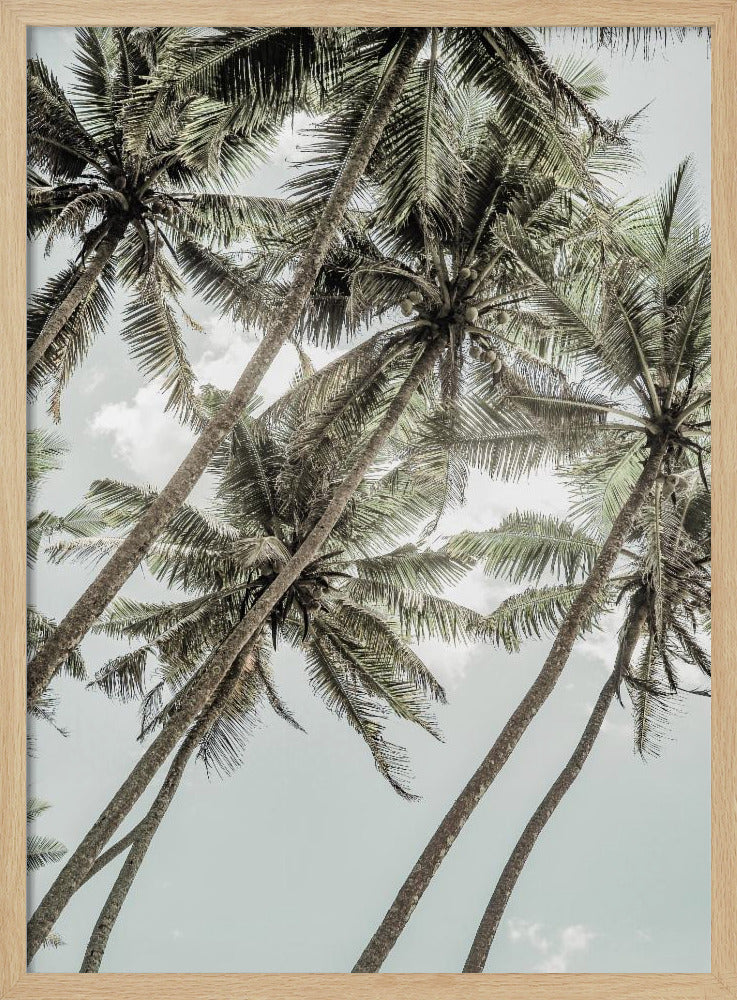 Wild Love | Poster