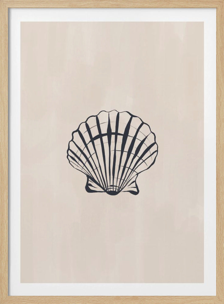 Seashell | Poster