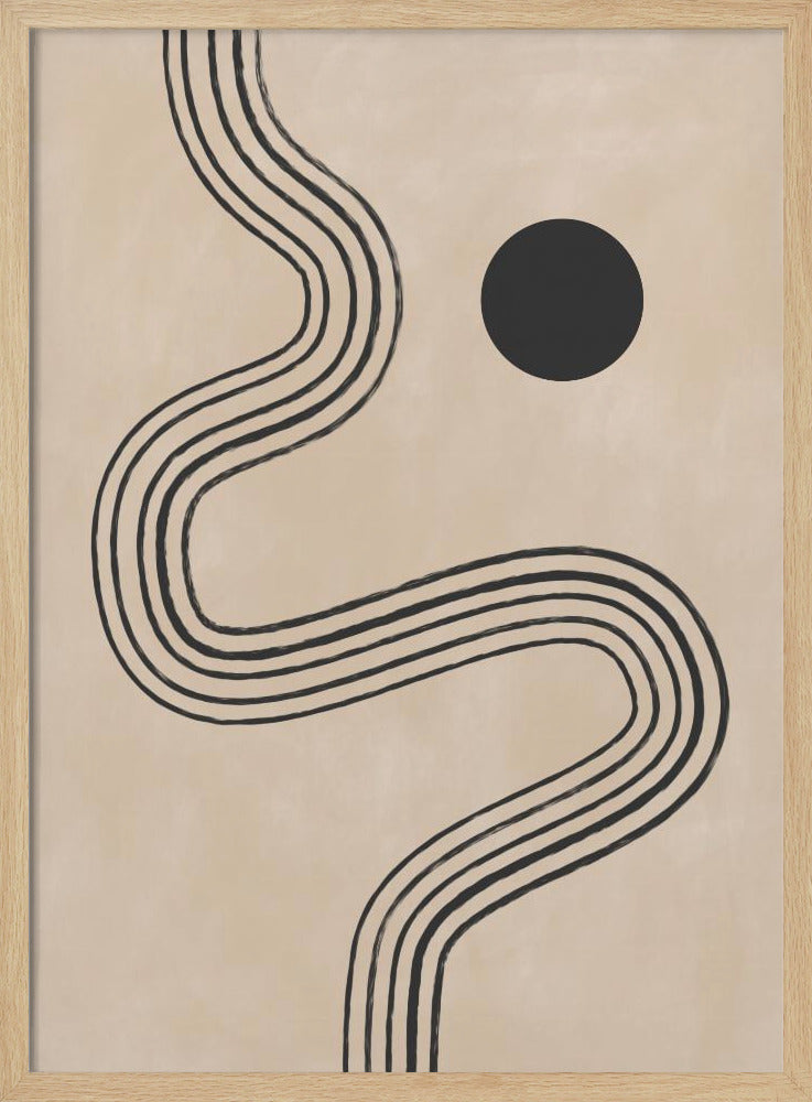 Curves and Sphere | Poster