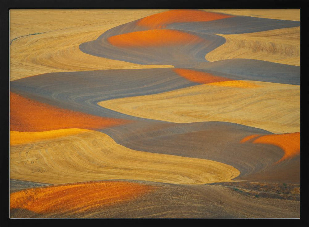 Painted Land | Poster