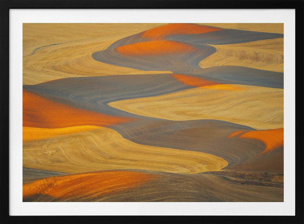 Painted Land | Poster