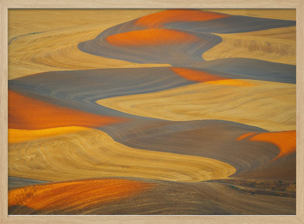 Painted Land | Poster