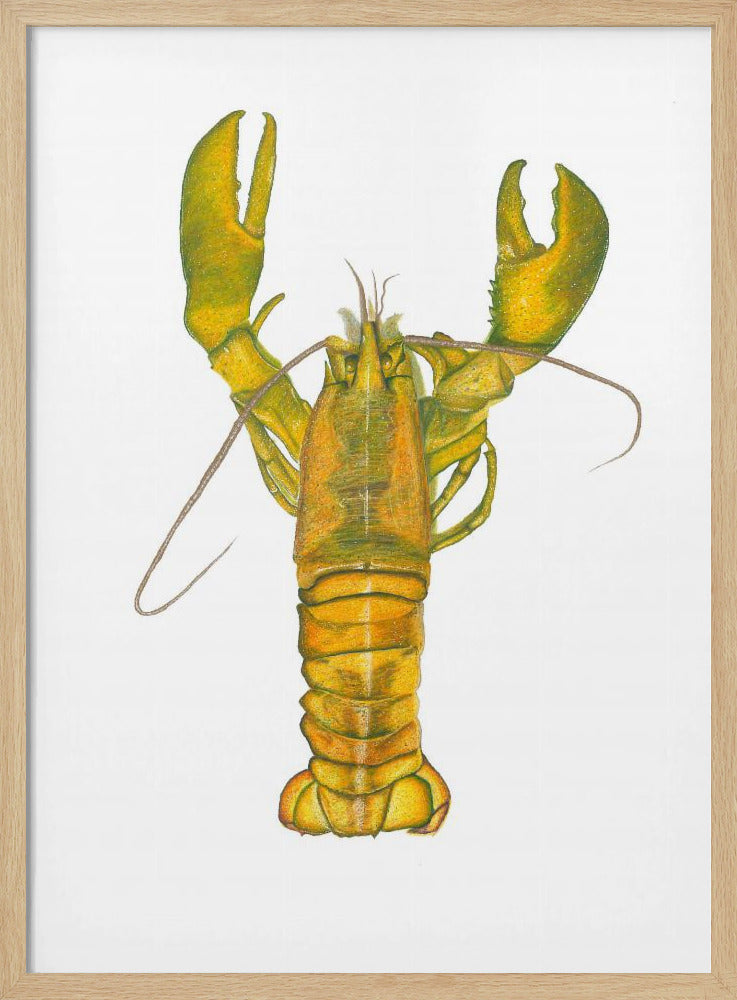 Lobster | Poster
