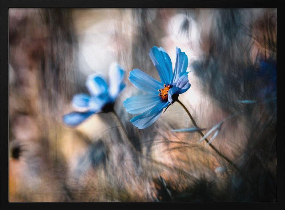 The two of us | Poster