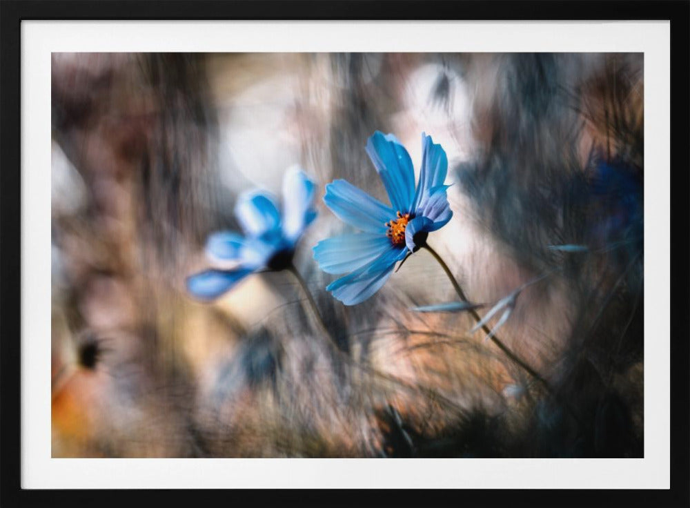 The two of us | Poster