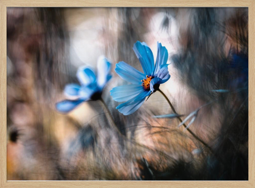 The two of us | Poster