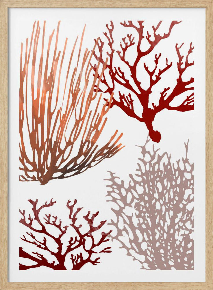 Pink and Red Sea Coral | Poster