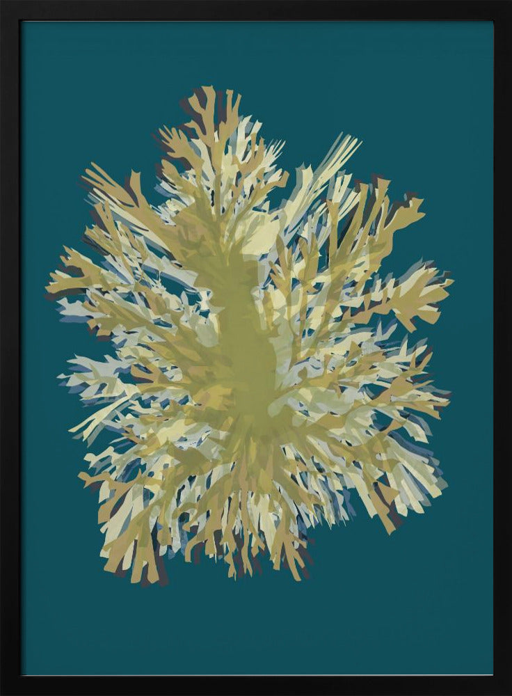 Seaweed  Poster 1 | Poster