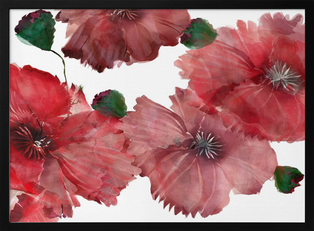Big Red Flowers 1 | Poster