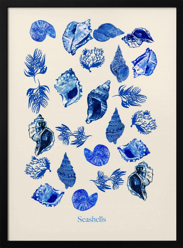 Seashells Poster | Poster