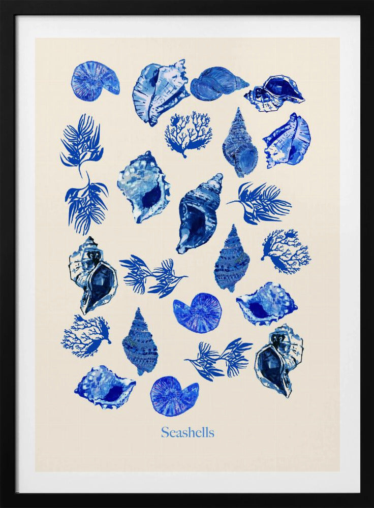 Seashells Poster | Poster