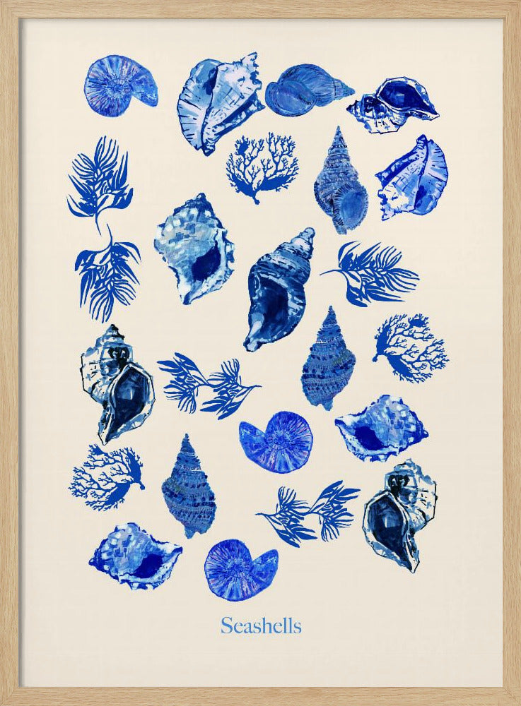 Seashells Poster | Poster