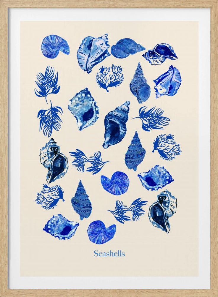 Seashells Poster | Poster