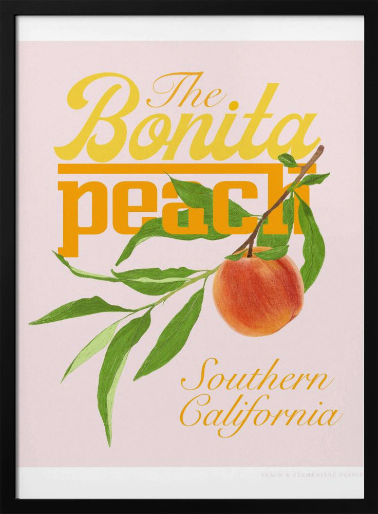 Pandcbonitapeach Copy | Poster