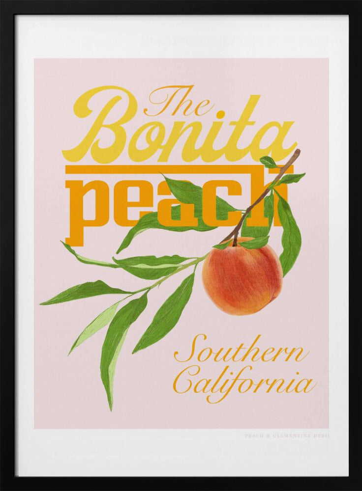 Pandcbonitapeach Copy | Poster