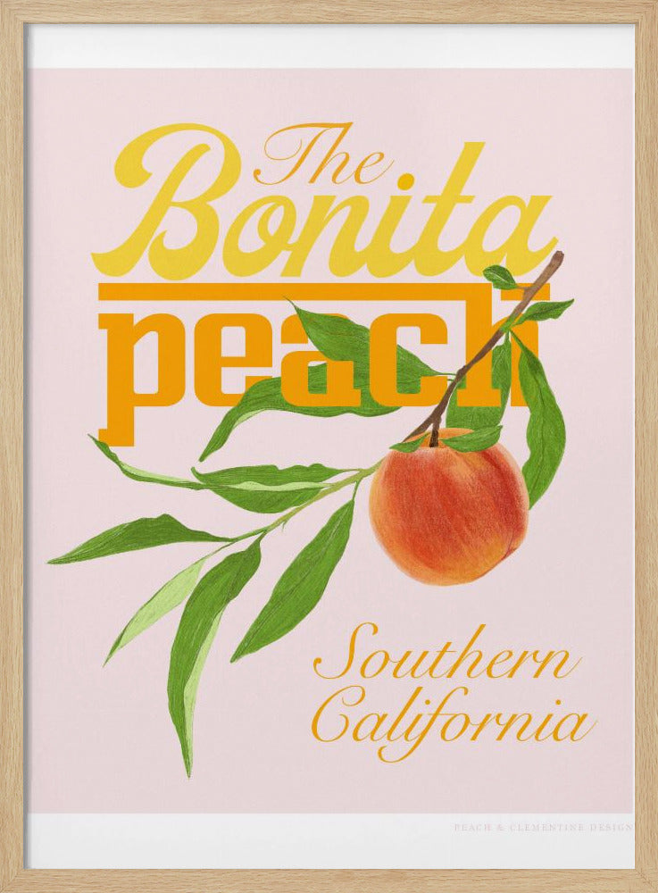 Pandcbonitapeach Copy | Poster