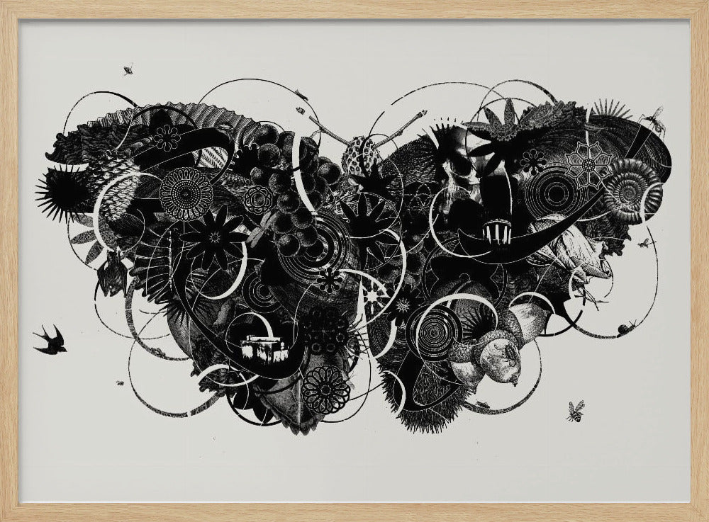 Butterfly 3 | Poster