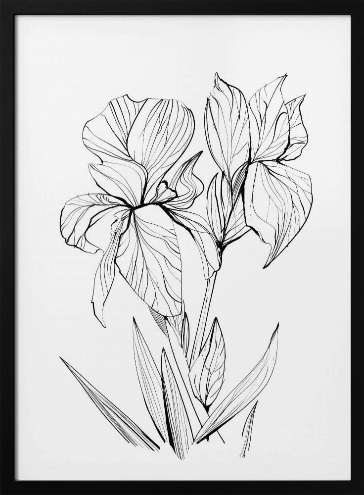 Irises | Poster