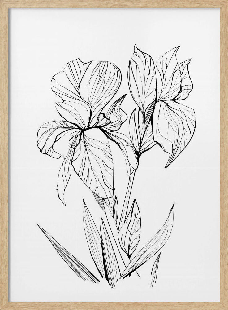 Irises | Poster