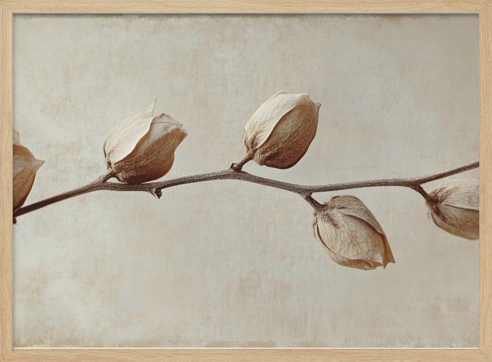 Faded Elegance | Poster