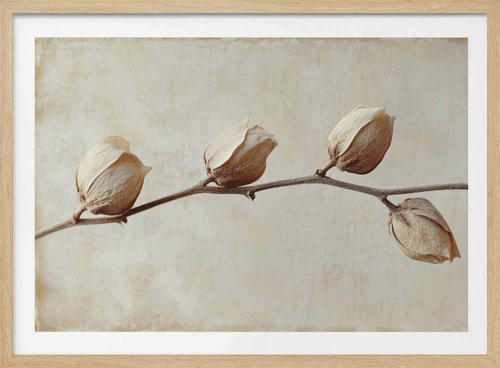 Faded Elegance | Poster