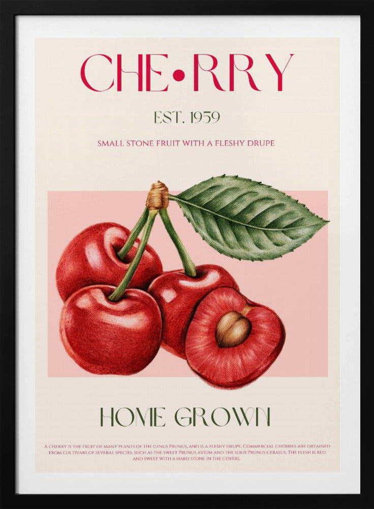 Sweet Red Cherries | Poster