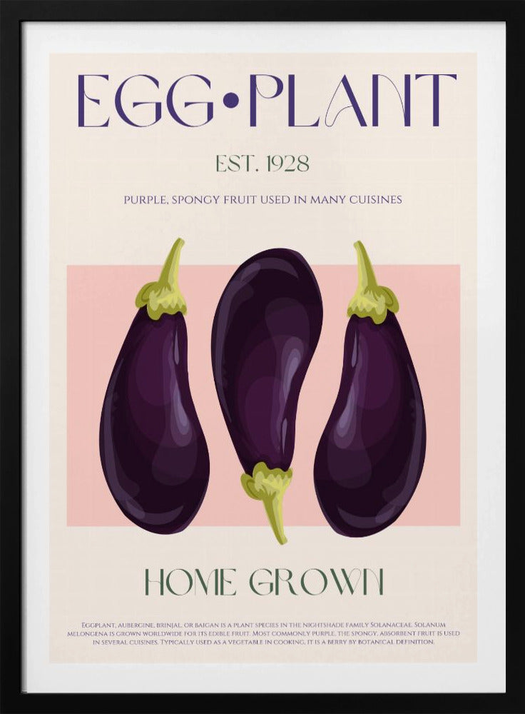 Three Vibrant Purple Eggplants | Poster