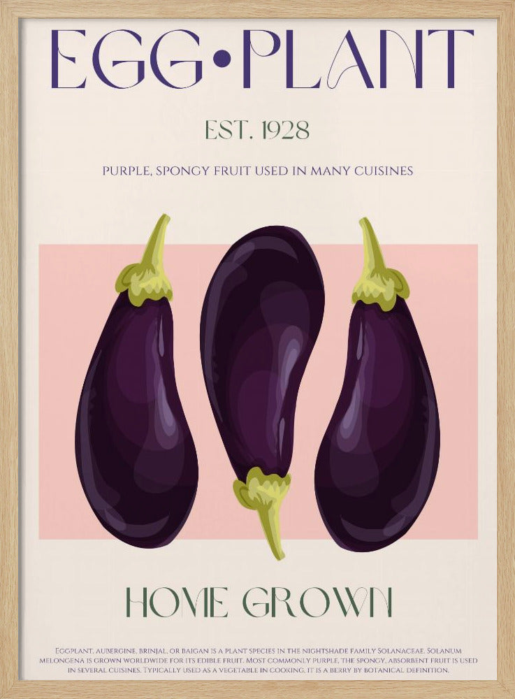 Three Vibrant Purple Eggplants | Poster