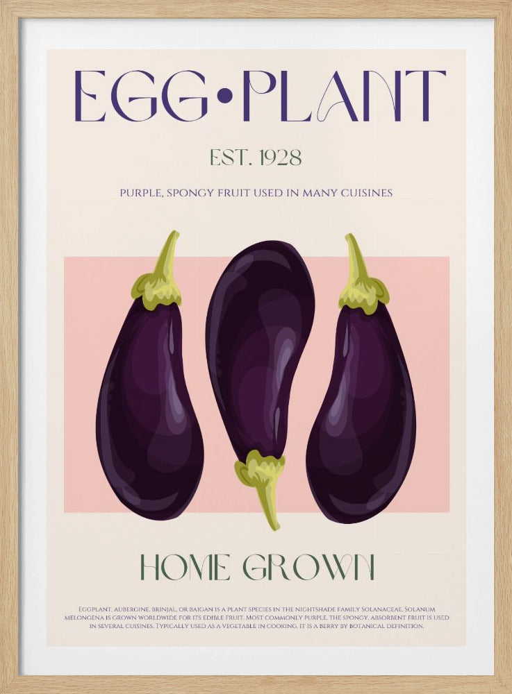 Three Vibrant Purple Eggplants | Poster