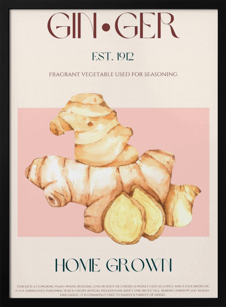 Watercolor illustration Of Ginger | Poster