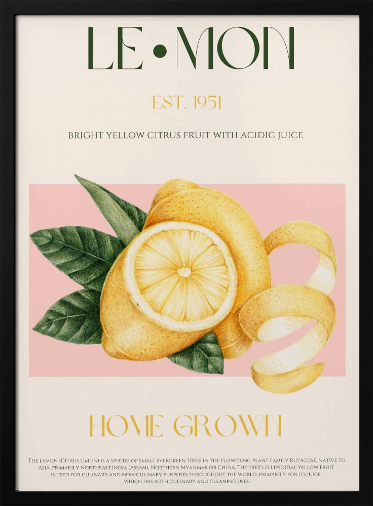 Vintage Style Sliced Lemon With Leaves | Poster