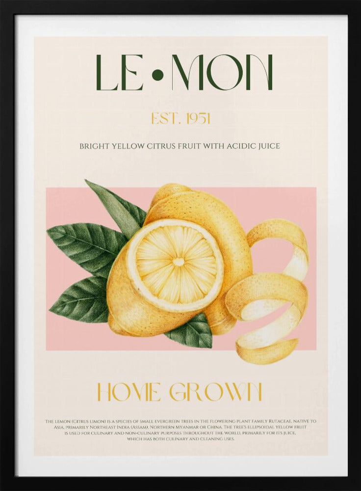 Vintage Style Sliced Lemon With Leaves | Poster