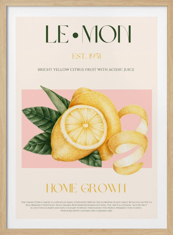 Vintage Style Sliced Lemon With Leaves | Poster
