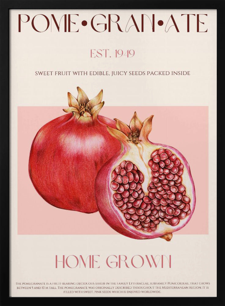 Juicy Pomegranate | Poster