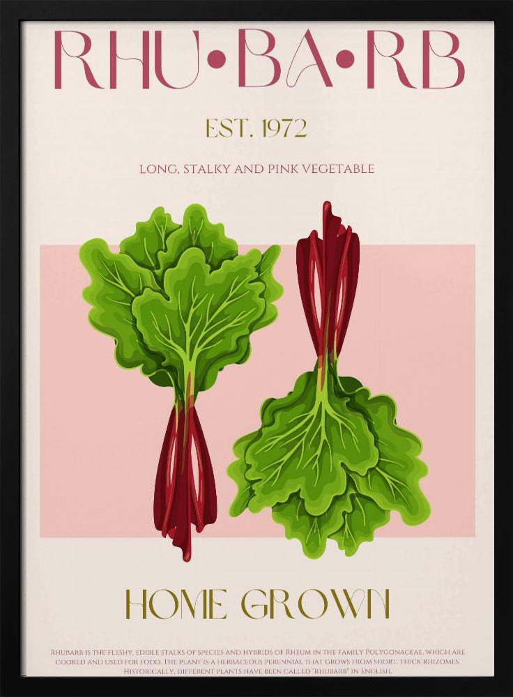 Illustrated Rhubarb With Vibrant Pink Stalks | Poster